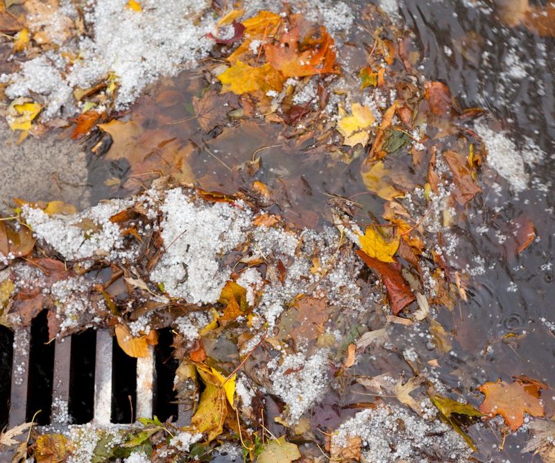 Drains with leaves on top