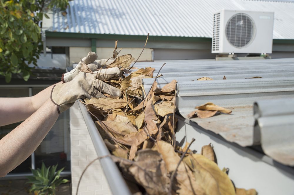 6 Reasons to Keep Your Gutters Clean